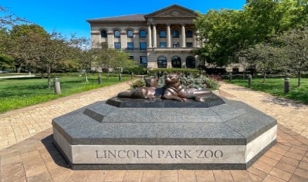 OPTION-Replace Casino with Lincoln Park Zoo